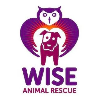 NJ based volunteer 501c3 rescue dedicated to rescuing dogs and cats of all ages, breeds and helping them find their new forever home! Founded 2016.