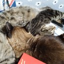 Melissa Naranjo - @MelissaNC92 - Twitter