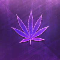 OnSomeHighShit🍃⛽️ (@onsomehighshit3) 's Twitter Profile