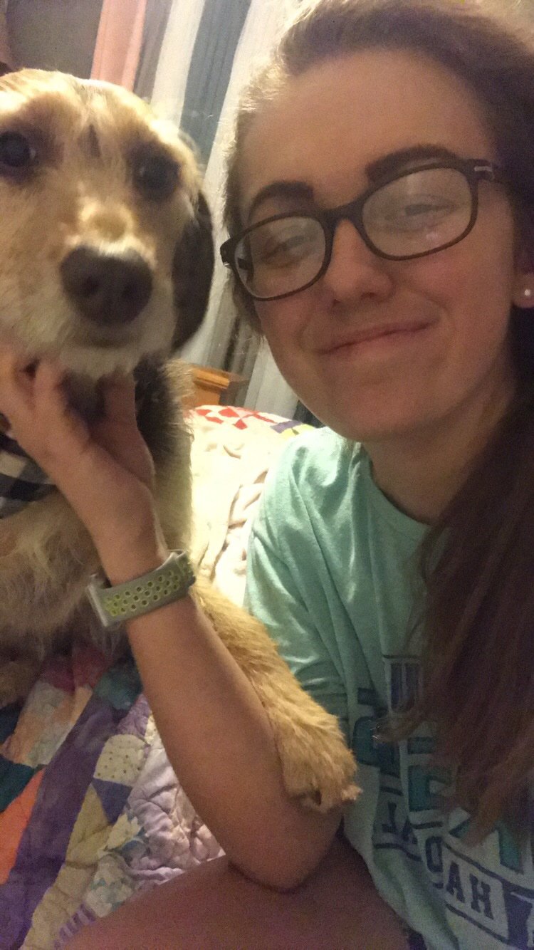 paiget2200's profile picture. MSU Handball 🐻