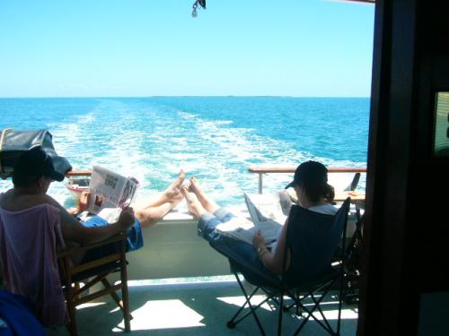 theshockfactor's profile picture. 