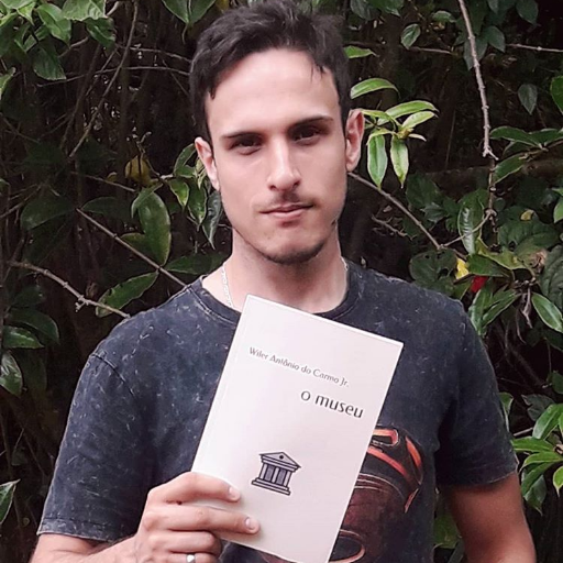 Engenheiro, desenvolvedor, escritor, questionador.