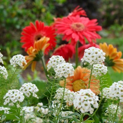 ReneMcintyre's profile picture. educator, principal, life long learner