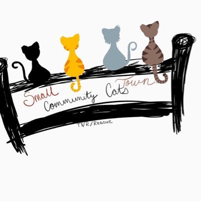 Small Town Community Cats, Inc
