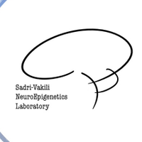 Sadri-Vakili lab (@gsvlab) 's Twitter Profile