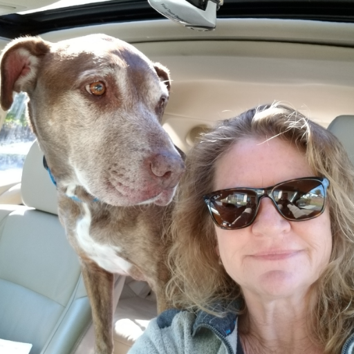 FTClean's profile picture. Small business owner w/ a great daughter, a special needs dog & a cat that puts up w us.  My business has taken me to interesting places meeting great people