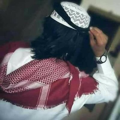 dmvc3MoK4iVe3q5's profile picture. 