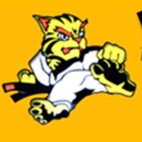 Redditch Tigers (@redditchtigers) 's Twitter Profile