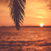 🌴 (@awesomescenery) Twitter profile photo 🌴 (@awesomescenery) Twitter profile photo
