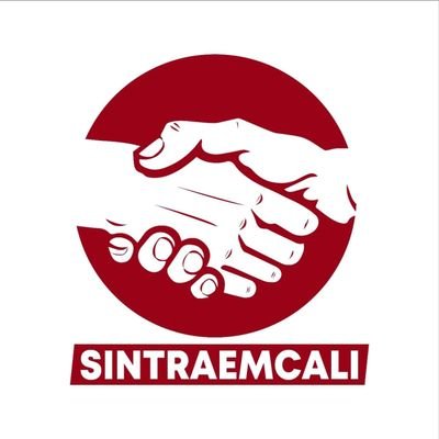 sintraemcali Profile Picture