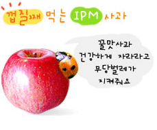 청송꿀맛사과, 부사, 홍로, 011-9500-2369