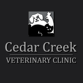 cedarcreekvet91 Profile Picture