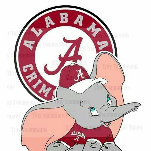 dibrorl's profile picture. Alabama fan since 1958. Retired USAF.