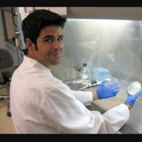 Alberto Caminero (@albertocaminer7) 's Twitter Profile Photo Alberto Caminero (@albertocaminer7) 's Twitter Profile Photo