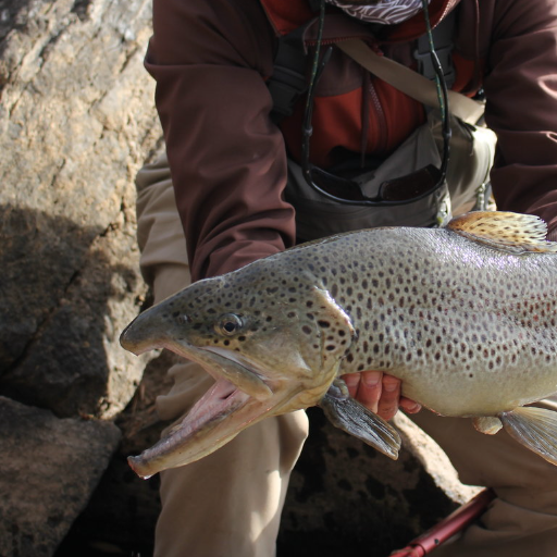 Durango Fly Fishing Club loves providing tips and techniques on local water and also pushes to help conserve our public lands.