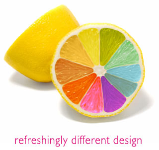 Graphic Designer Seeking Full Time Job in Sarasota, FL Area