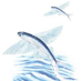 @flyingfishGO