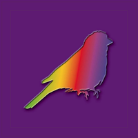 finches creative design(@FinchesDesign) 's Twitter Profile Photo