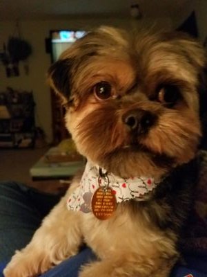 C73Mel's profile picture. 