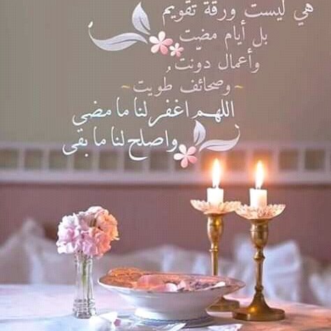 bouaritoufik120's profile picture. 