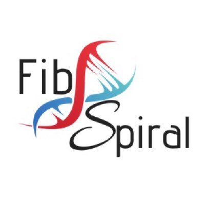 FibSpiral's profile picture. 