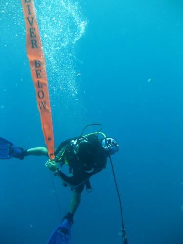 yeongkil83's profile picture. 바다를 사랑하는 항해사입니다..
PADI MSD & DM