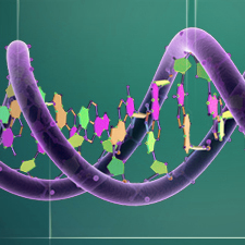 Celebrating the awesome power of post-genomic science, and the fruits of the Human Genome Project. Tweets by @TeamHuman_org