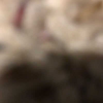 Testuser1345732's profile picture. 