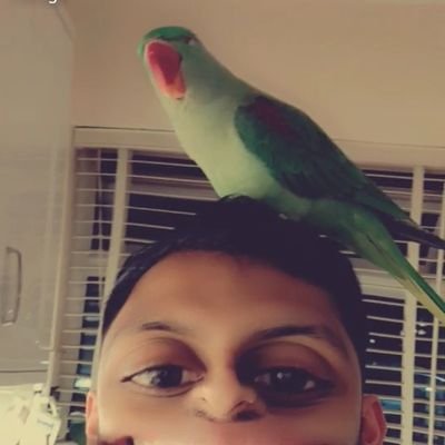 pacca_niram's profile picture. Just one more thing - Columbo
