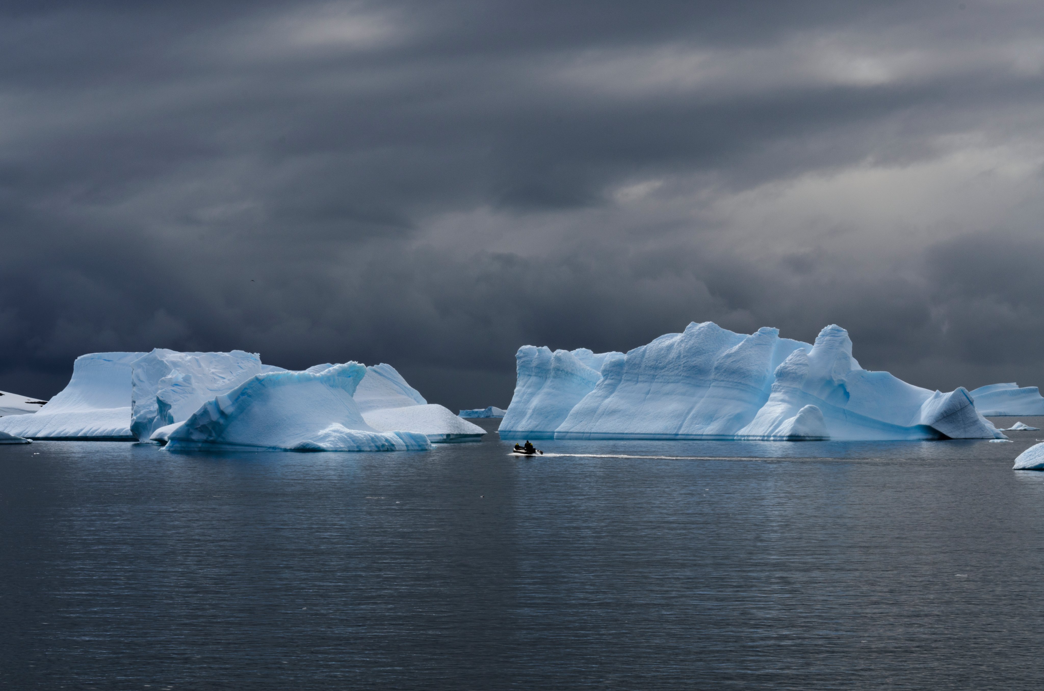 The Lynch Lab for Quantitative Ecology at Stony Brook University. Antarctic penguins, conservation, ecological forecasting. https://t.co/sFts5TOJRX, https://t.co/AKuRTVY3bt