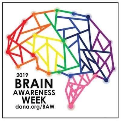 BDafilo's profile picture. 