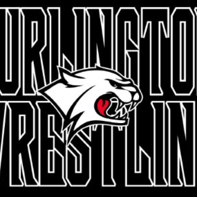 BtonWrestling's profile picture. 