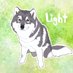 🐺Light☾o,+:。☆.*・+。 (@snowdancingzero) Twitter profile photo 🐺Light☾o,+:。☆.*・+。 (@snowdancingzero) Twitter profile photo