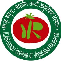 ICAR-Indian Institute of Vegetable Research (@icar_iivr) 's Twitter Profile Photo ICAR-Indian Institute of Vegetable Research (@icar_iivr) 's Twitter Profile Photo