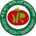 ICAR-Indian Institute of Vegetable Research (@icar_iivr) Twitter profile photo