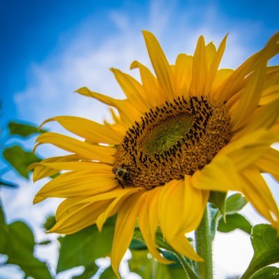 TagFridays's profile picture. Tag Friday’s are for people with a great sense of humor that like to give shoutouts to their friends. DM us if you have suggestions for the shoutouts.🤘🏼