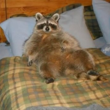 JoshuaHouck7's profile picture. bruh