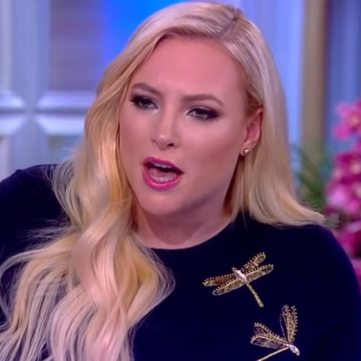 I am not Meghan McCain. I am cohost of @TheView. I am a republican. I am my father's daughter. I always have a friend of mine. #MeAgain