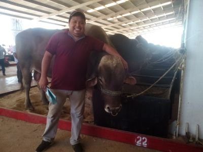 Anibal03200908's profile picture. Aníbal