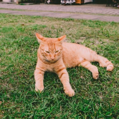 kkisme_'s profile picture. 1994. Gourmet | Traveller | Talker | Listener | รู้จักเราเท่าที่เราอยากให้รู้จักก็พอ