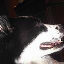 Kimberly Harbin - @kymberliann - Twitter