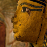 Petrie Museum(@PetrieMuseEgypt) 's Twitter Profile Photo