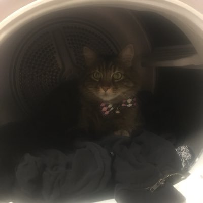 mert_zumrut's profile picture. 