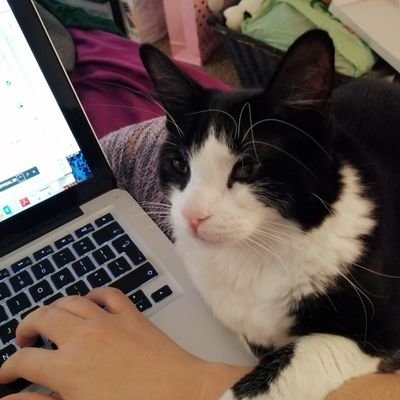 Is actually a cat at a laptop.