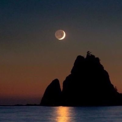 3oba_alsh3r's profile picture. 