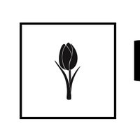 Black Tulip Technology(@TechnologyTulip) 's Twitter Profile Photo