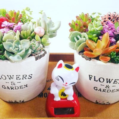 Feliz Wreath 腰袋 こんな使い方していいの 腰袋 かわいい カクレモモジリ 使い方 記念日 クリスマス 花屋 花 フォロー ガーデニング 手作り 園芸 インスタグラム 日本 結婚 植物 鉢 お店 水苔 多肉植物 ツイッター ユーチューブ