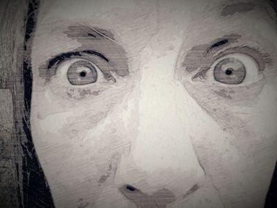 quergefuehlt's profile picture. 