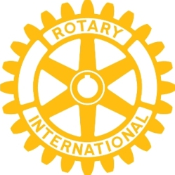 Rotarian's are business and professional leaders who take an active role in volunteering in their own communities and abroad .