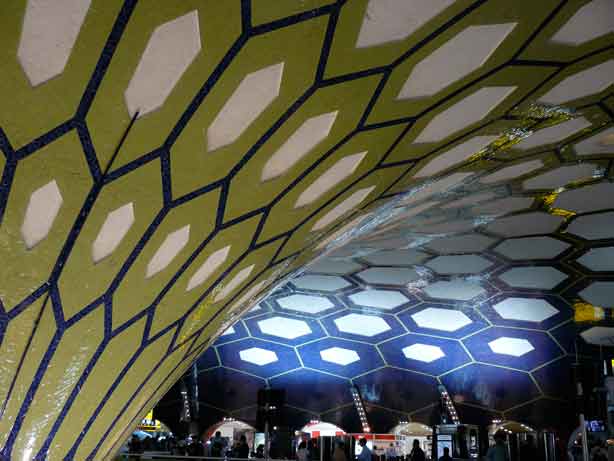 GraceMcTrace's profile picture. 